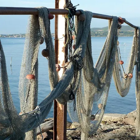 La Maison Rouge Dans Les Pins Sète